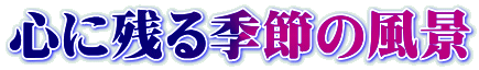 心に残る季節の風景