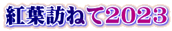 紅葉訪ねて2023