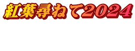 紅葉尋ねて2024