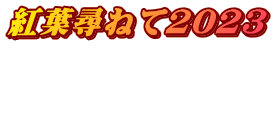 紅葉尋ねて2023